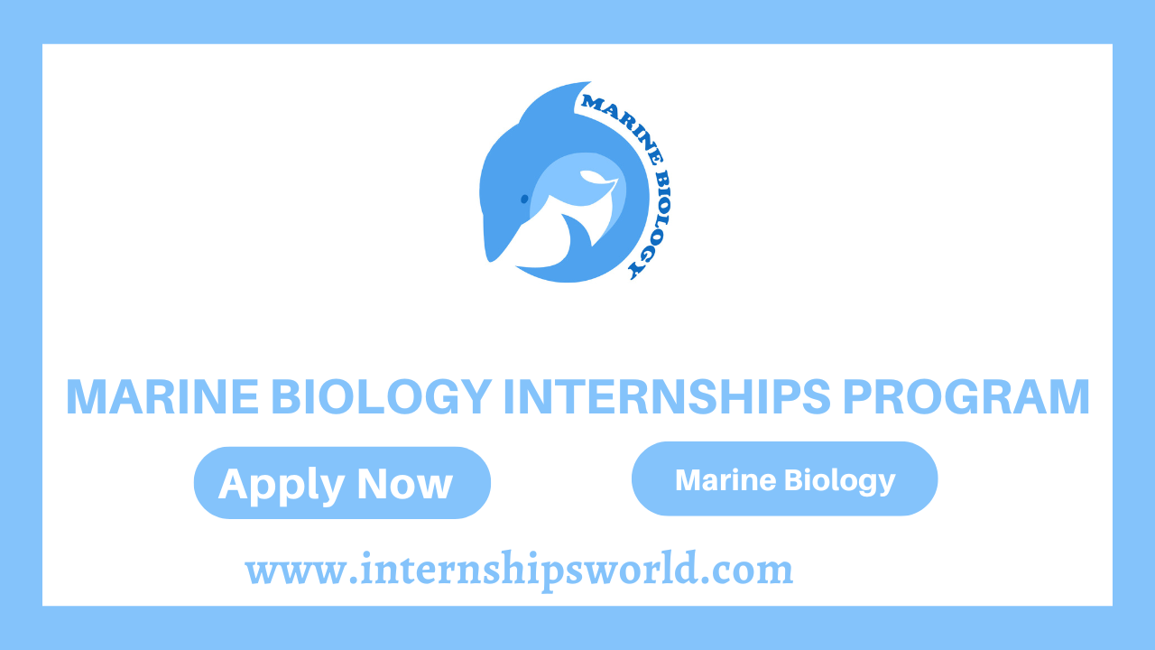 Marine Biology Internship Program
