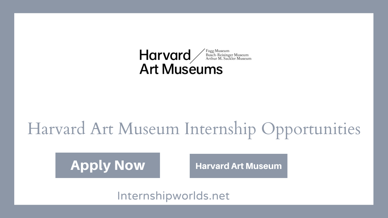 Harvard Art Museum Internship Opportunities